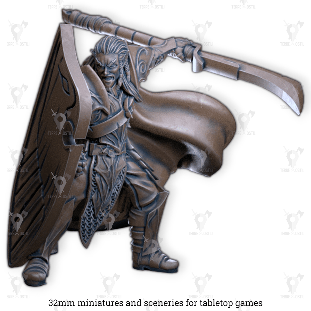 Miniatura Ladil elfo paladino soldato guerriero guardia reale | miniatura 3D resina | Terre Ostili per dungeons and dragons dnd