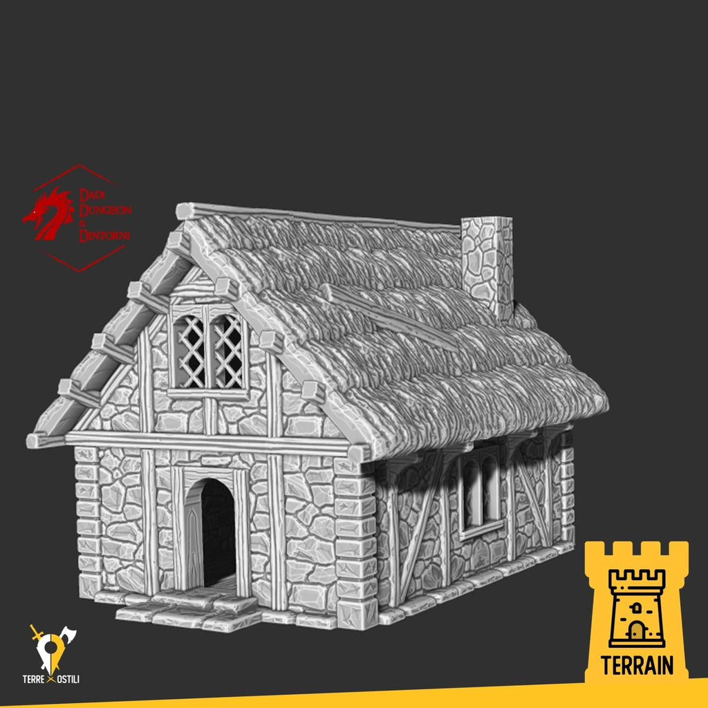 Scenico Contadino casa capanna legno edificio fantasy scenico per dungeons and dragons dnd