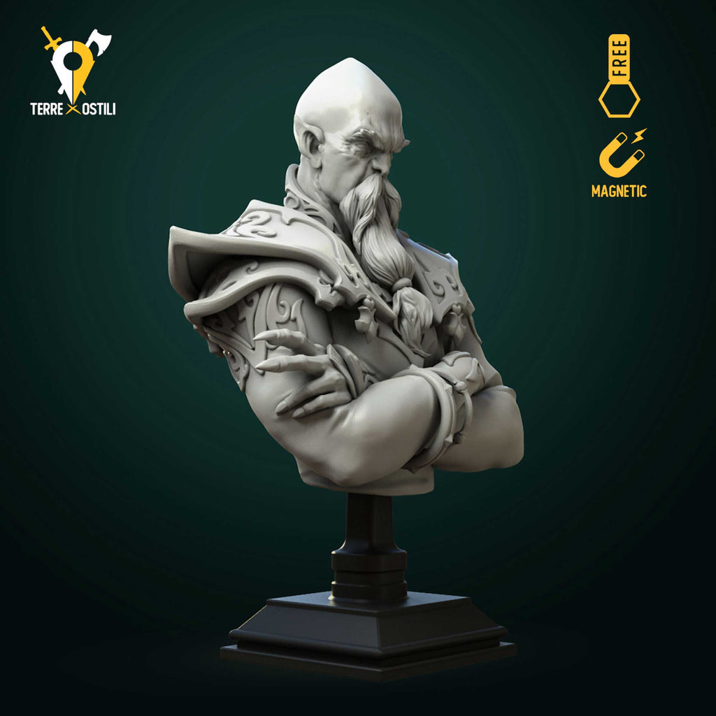 Busto Mago supremo elfo stregone busto resina alta qualità miniatura per dungeons and dragons dnd