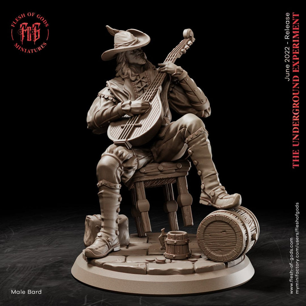 Miniatura Elorian umano bardo cantore di taverna musico chitarra | miniatura 3D resina | Terre Ostili per dungeons and dragons dnd