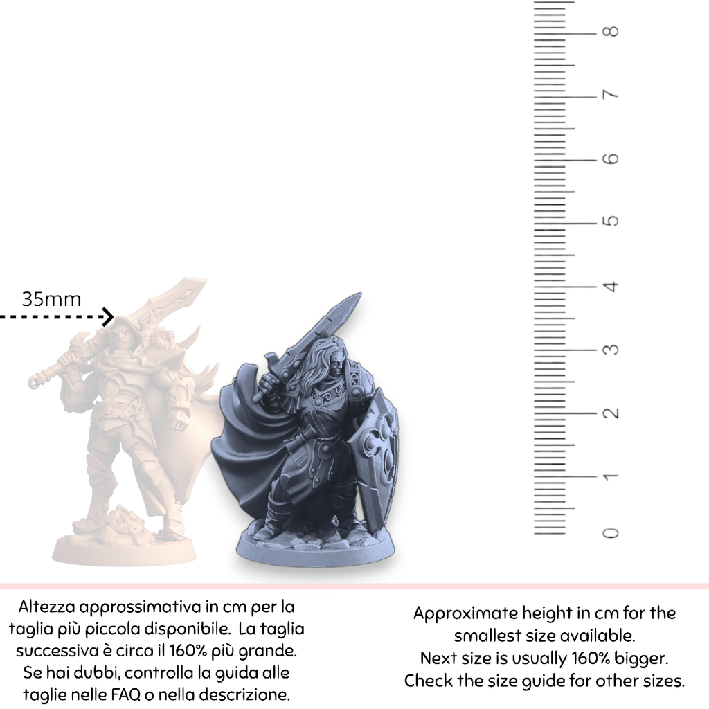 Miniatura Ramur umano paladino guerriero spada e scudo | miniatura 3D resina | Terre Ostili per dungeons and dragons dnd