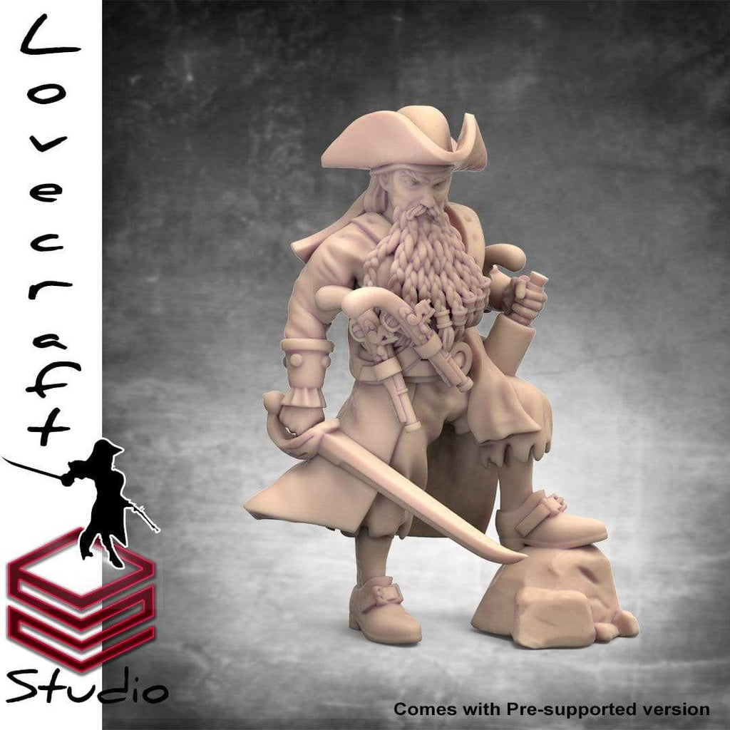 Miniatura Barbanera umano capitano pistolero nobile pirata corsaro miniatura 3D resina per dungeons and dragons dnd