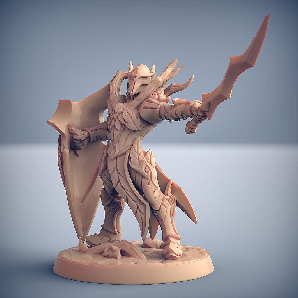 Miniatura Elfo guerriero spada e scudo soldato miniatura 3D resina per dungeons and dragons dnd