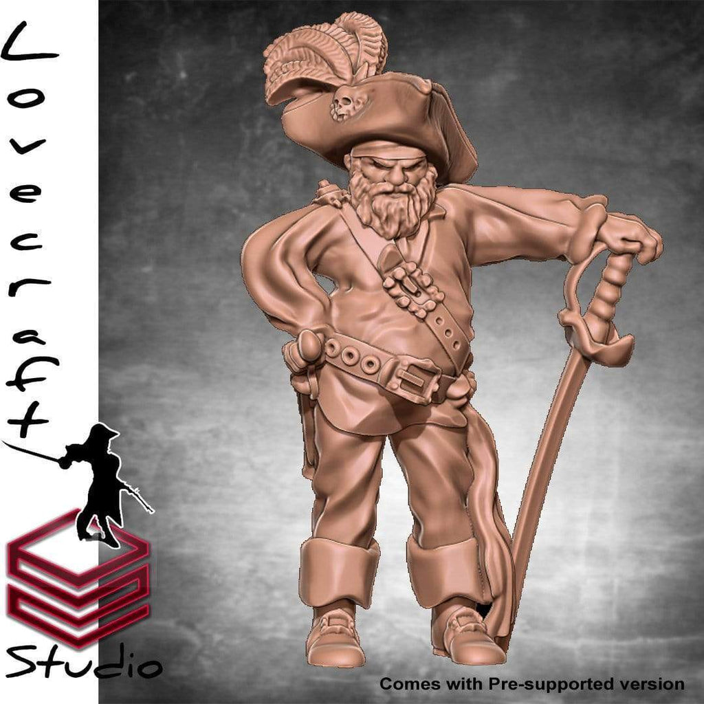 Miniatura Howel il breve nano capitano pistolero nobile pirata corsaro miniatura 3D resina per dungeons and dragons dnd