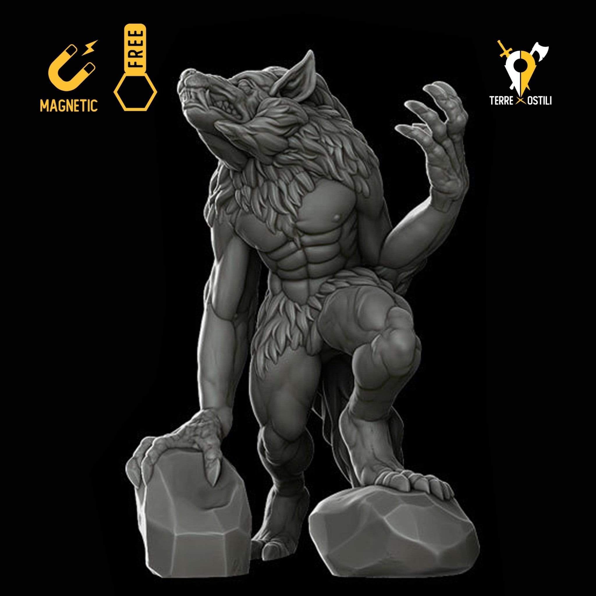 Libro Illustrato Argent Bestiary 1:6 - Lupo Mannaro Adolescente, Per Libro Illustrato Argent Bestiary 1:6 - Lupo Mannaro Adolescente, Per