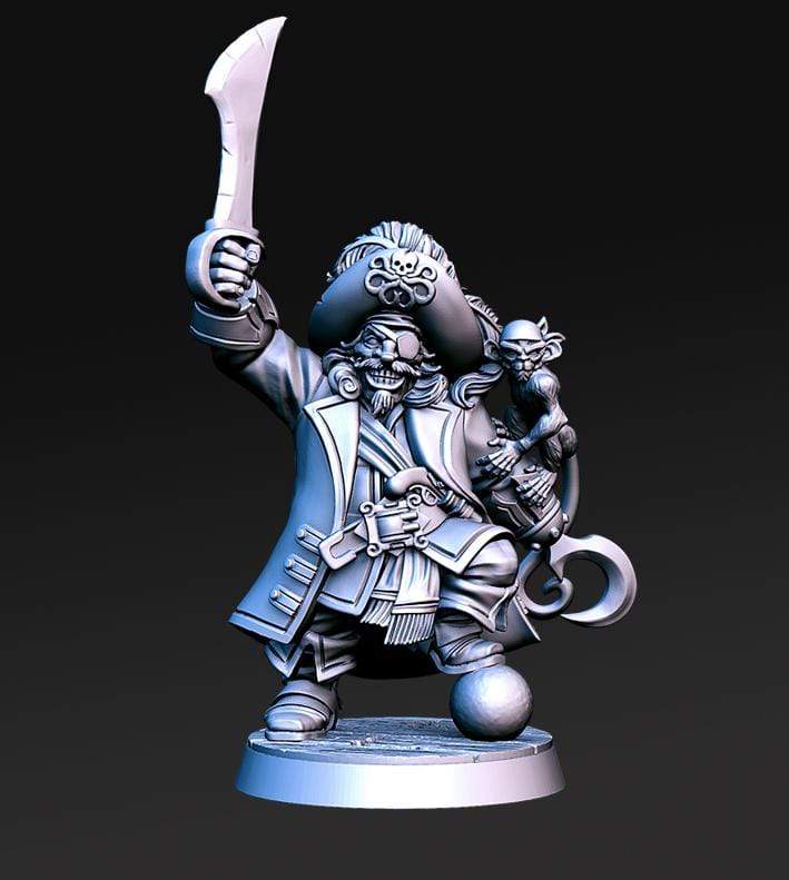 Miniatura Madolf nano spadaccino pirata capitano corsaro miniatura 3D resina per dungeons and dragons dnd