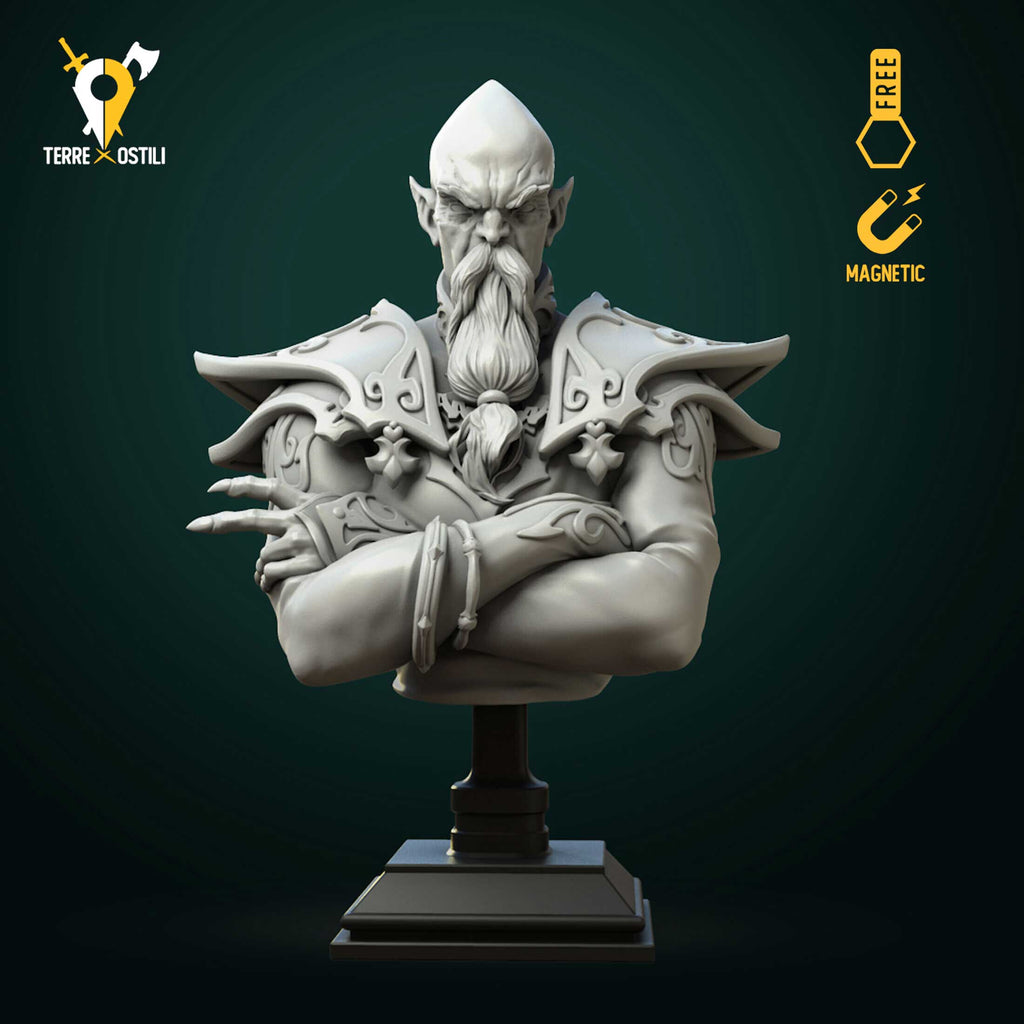 Busto Mago supremo elfo stregone busto resina alta qualità miniatura per dungeons and dragons dnd