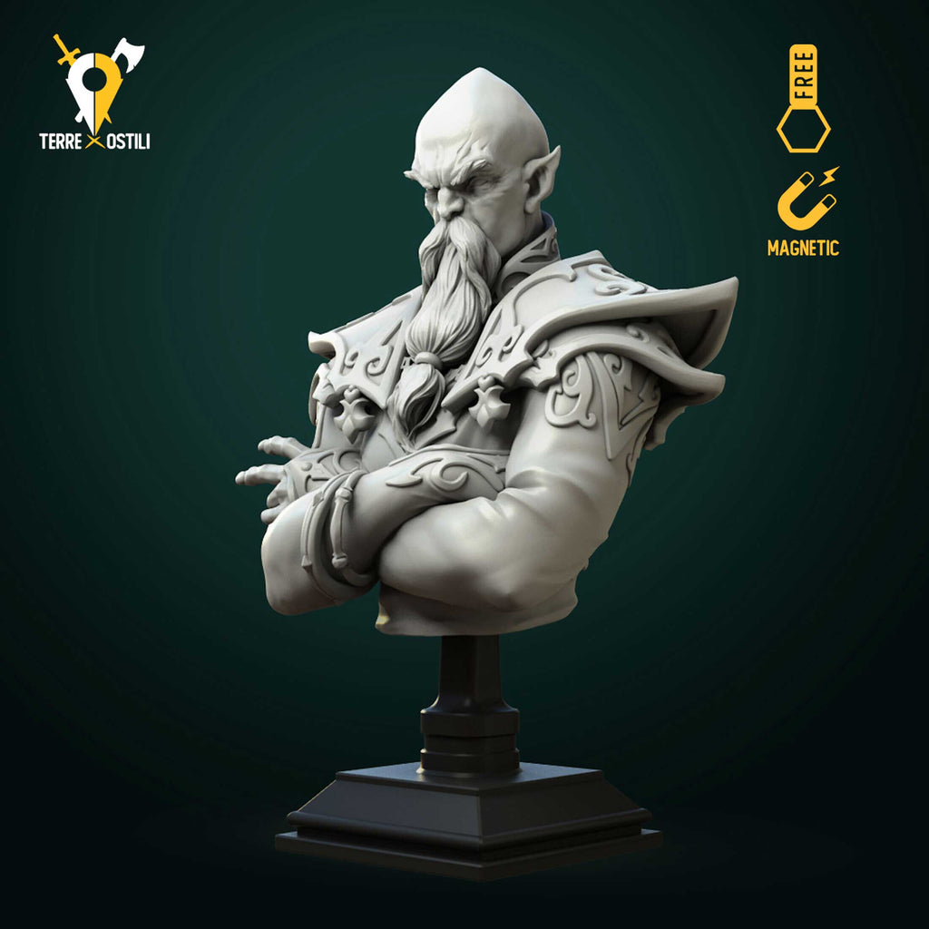 Busto Mago supremo elfo stregone busto resina alta qualità miniatura per dungeons and dragons dnd